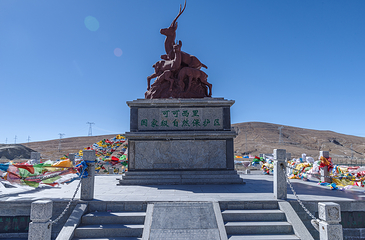可可西里国家级自然保护区第 6 张图片