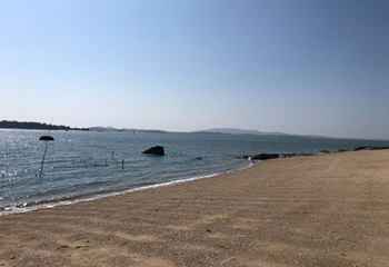 大嶝岛第 28 张图片