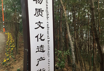 英山四季花海景区第 76 张图片