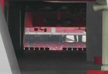 鸟巢空中走廊第 20 张图片