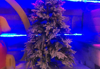百花渡第 12 张图片