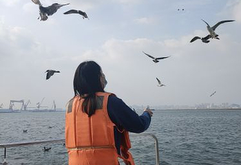 星海广场第 21 张图片