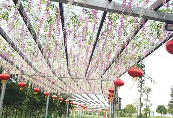 香家堡梦幻花世界第 18 张图片