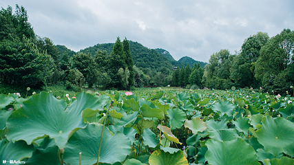 花溪十里河滩湿地公园第 12 张图片
