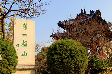 梅花山第 31 张图片