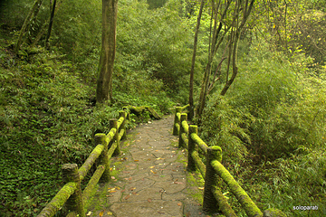 斗篷山景区第 11 张图片