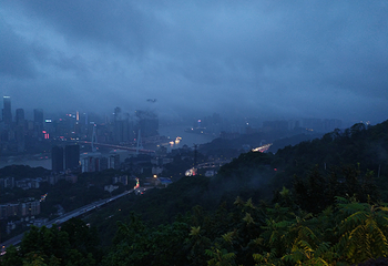 南山一棵树观景台第 41 张图片