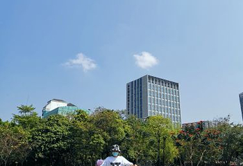 荷兰花卉小镇第 30 张图片