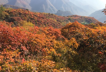 坡峰岭第 66 张图片