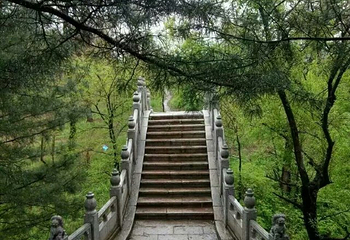 黄椅山森林公园第 30 张图片