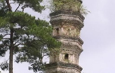 大圣寺塔第 3 张图片