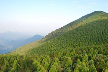 百山祖景区第 27 张图片