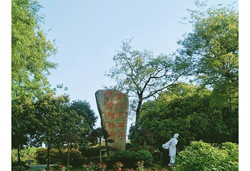 牡丹园第 7 张图片