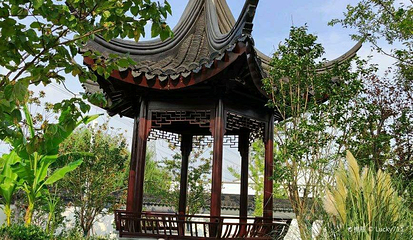 木樨园第 1 张图片