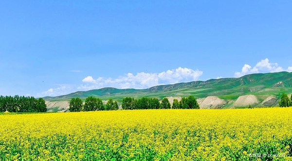 唐布拉国家森林公园