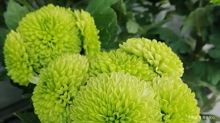 苏康生态园第 1 张图片