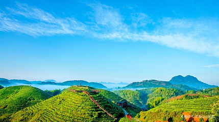 大仙峰茶美人景区第 1 张图片