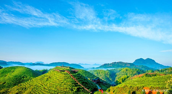 大仙峰·茶美人景区