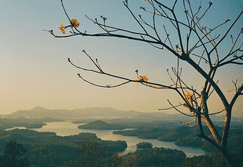尖岗山公园第 11 张图片