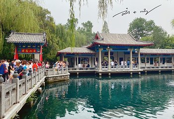 趵突泉景区第 55 张图片