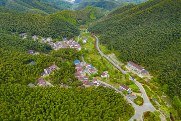 笄山竹海风景区第 3 张图片