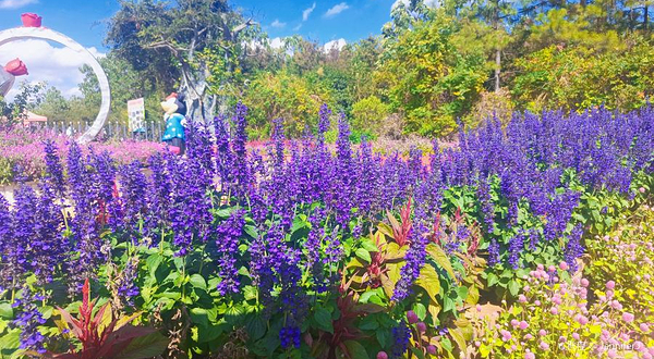 永州冷水滩森林植物园