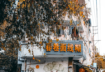 华新路第 6 张图片