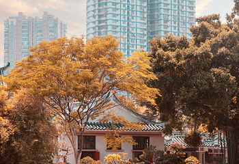中山公园第 14 张图片