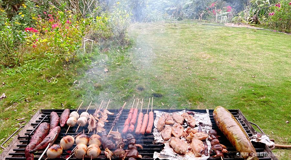 西双版纳象出没雨林营地