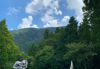 雕刻之森美术馆第 5 张图片