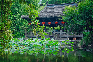 沈园第 5 张图片