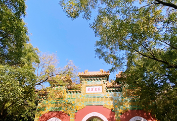 国家植物园(原北京植物园)第 28 张图片