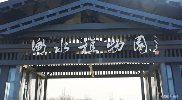 衡水植物园