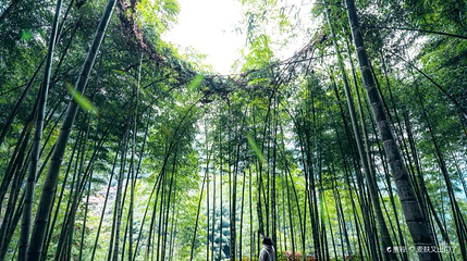 横坑村第 1 张图片