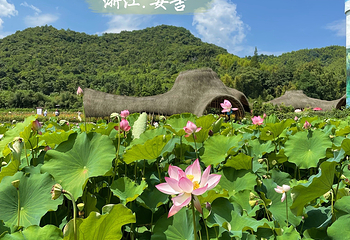 余村第 11 张图片