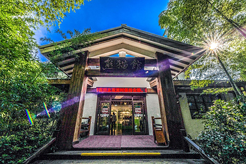 天目湖南山竹海景区-熊猫馆第 4 张图片