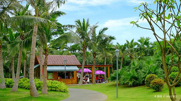 深圳湾公园-海韵园