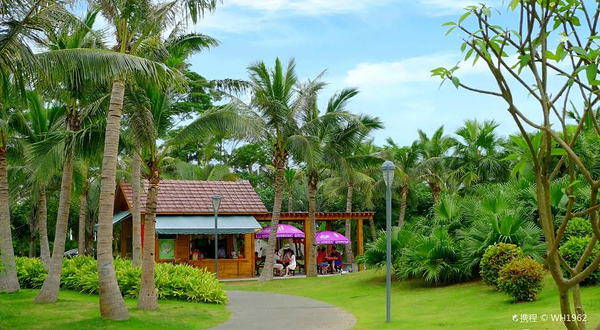 深圳湾公园-海韵园