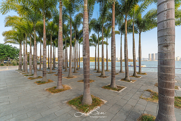 海沧湾公园第 11 张图片