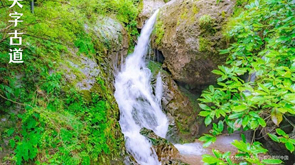 陆羽古道景区第 1 张图片