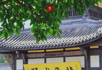 广德寺第 8 张图片