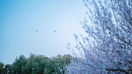 虎丘湿地公园第 5 张图片