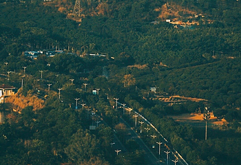 尖岗山公园第 13 张图片