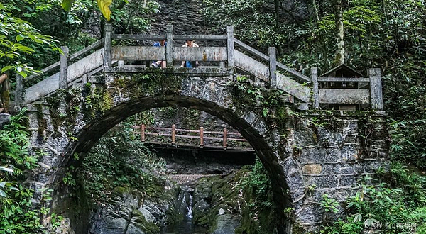 鸡公山原始森林