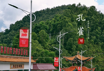 孔雀湖生态旅游区第 10 张图片