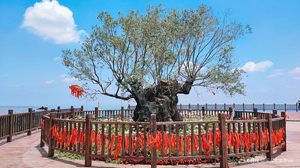 金堂县龚家山观景台第 1 张图片