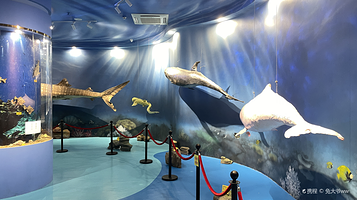 惠州抹香鲸主题馆