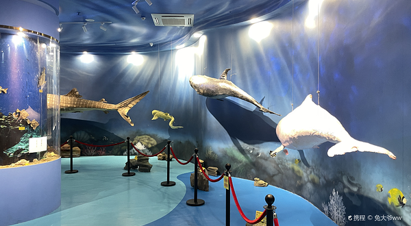 惠州抹香鲸主题馆