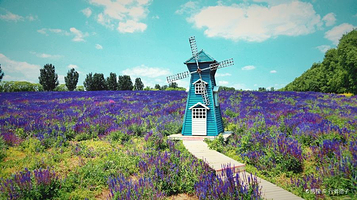 黄家沟休闲营地