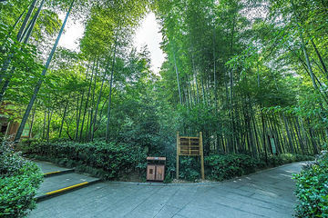 天目湖南山竹海景区-熊猫馆第 8 张图片